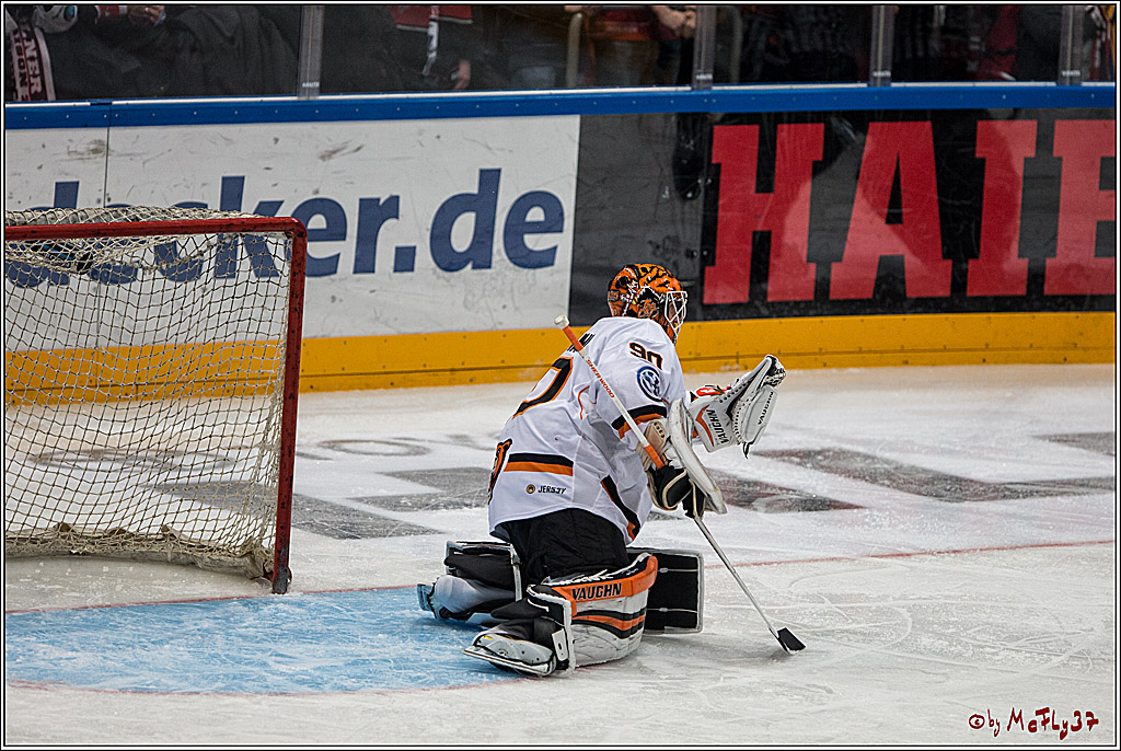 DEL, Koelner Haie - Grizzlys Wolfsburg, 21.02.2017